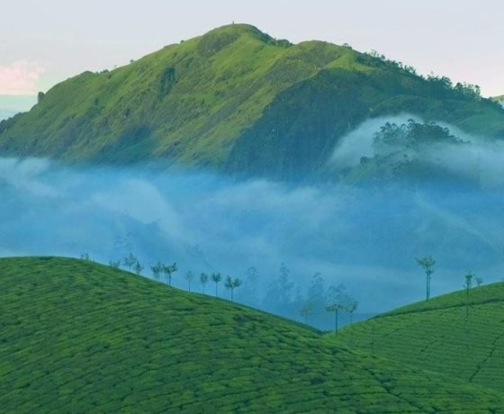 Madhya Pradesh